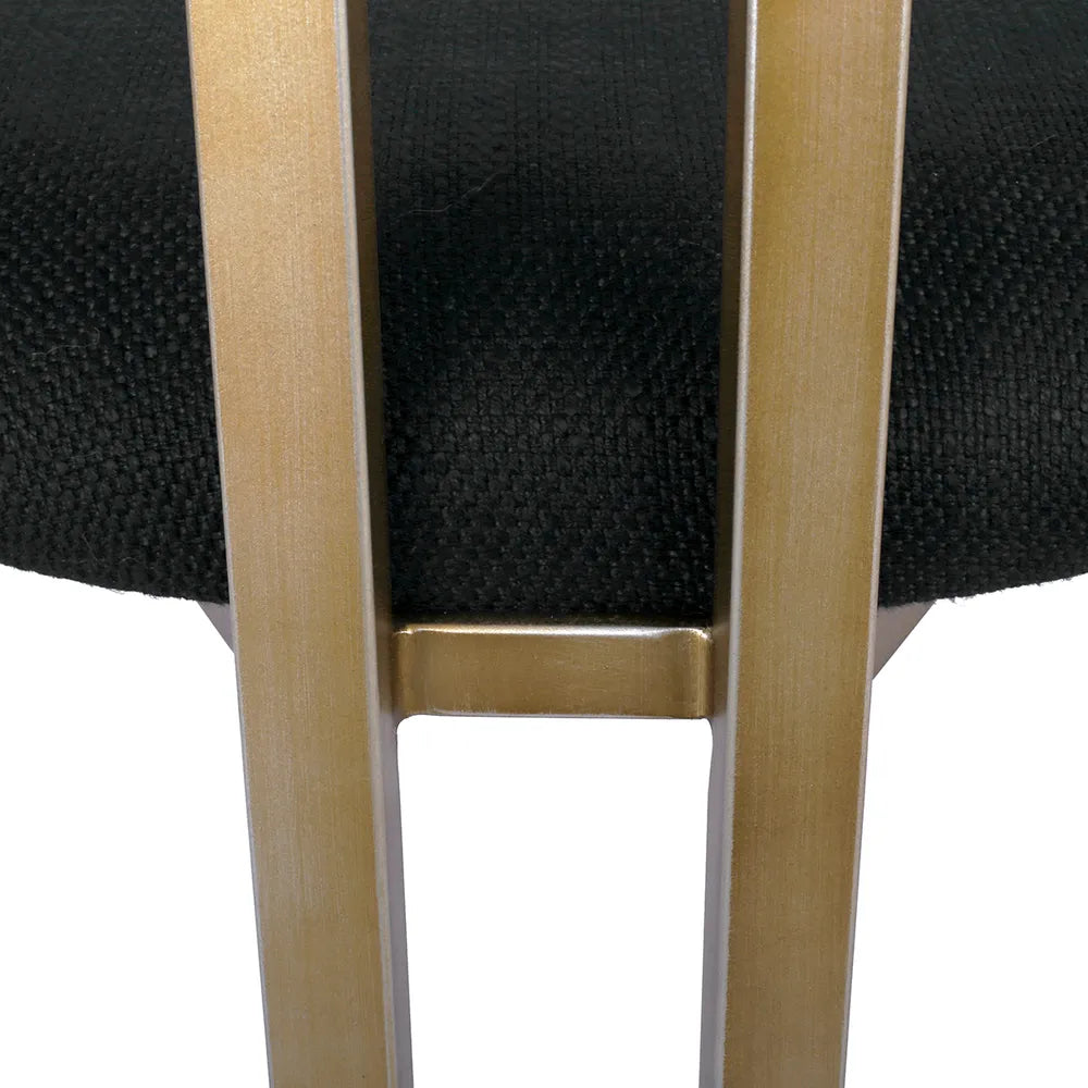 Dino Dining Chair